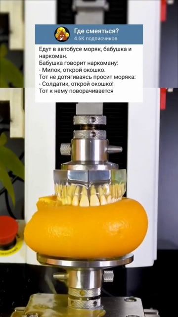 груша #shorts #мемы #анекдот #смешно #шортс #гвса смотреть онлайн