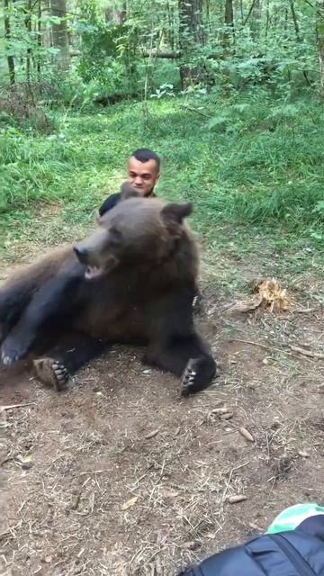 Случай в лесу. смотреть онлайн