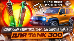 Усиленные амортизаторы TEIN ENDURA PRO PLUS для TANK 300.