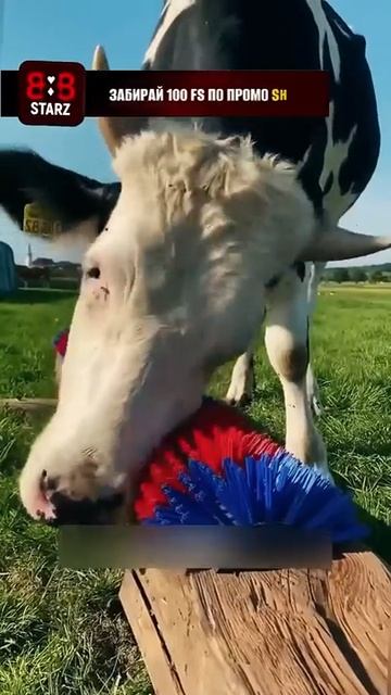 Лайфхак фермерам для коров смотреть онлайн