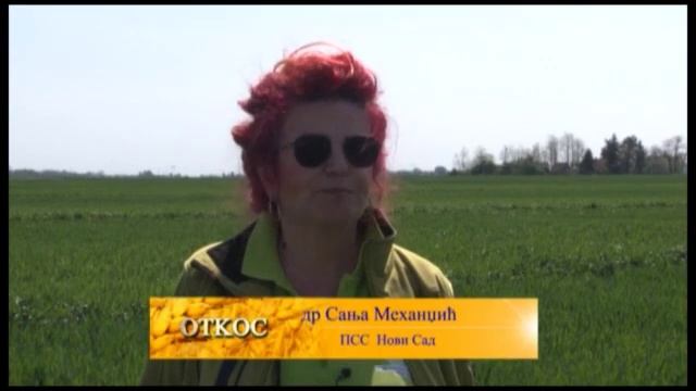 OGLED PSENICE PSS NOVI SAD DR SANJA MEHANDZIC смотреть онлайн