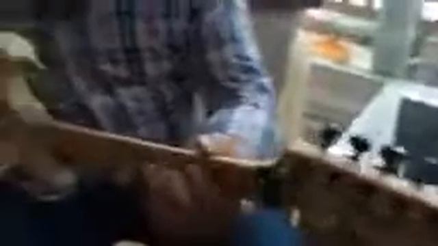 Guitarist from Kussie Weiss - Gipsy Maniac - Strat + 67 50 Watt Marshall смотреть онлайн