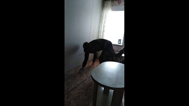 Тренеровочка