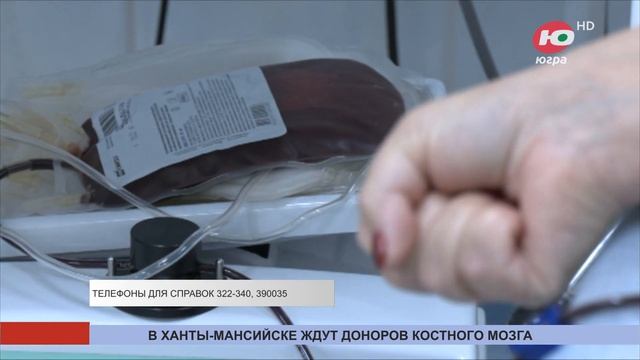 Ханты-Мансийская ОКБ проводит акцию для доноров костного мозга смотреть онлайн