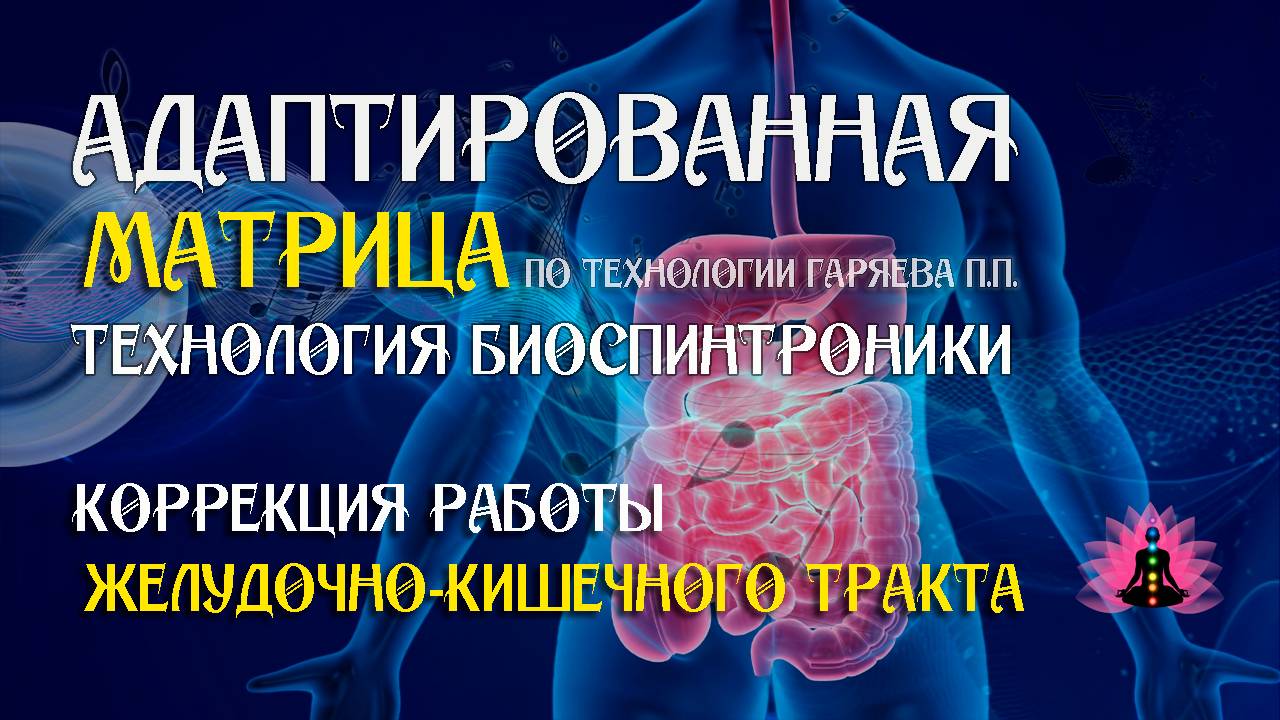 Коррекция работы ЖКТ  🎶 программа матрица по технологии Гаряева П.П ☀️ SoftRadio.ru