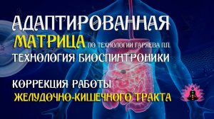 Коррекция работы ЖКТ  🎶 программа матрица по технологии Гаряева П.П ☀️ SoftRadio.ru