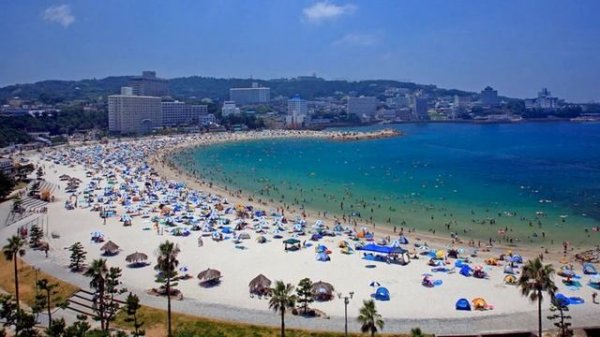 Wakayama Prefecture, Japan: 7 Must-visit places and 4 Must-try food from Wakayama