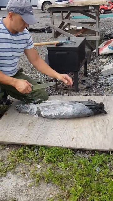 шашлык из сазана по Хабаровски 1 смотреть онлайн