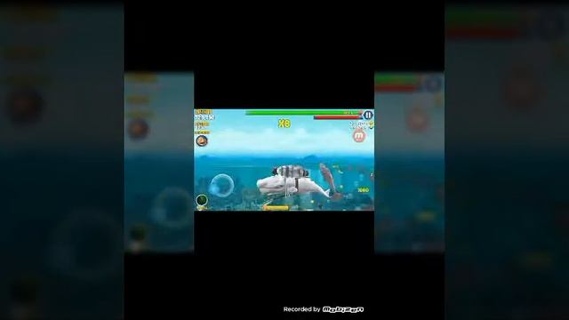 Первое видио!!!!!! играем в hungry shark смотреть онлайн