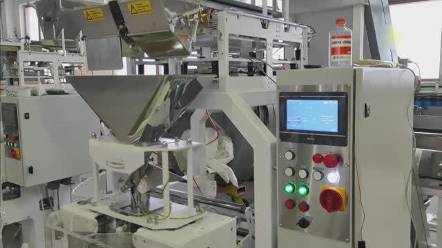 Упаковочная линия на базе автомата 55.21 с двухручьевым дозатором. Фасовка сыпучего продукта в модиф смотреть онлайн