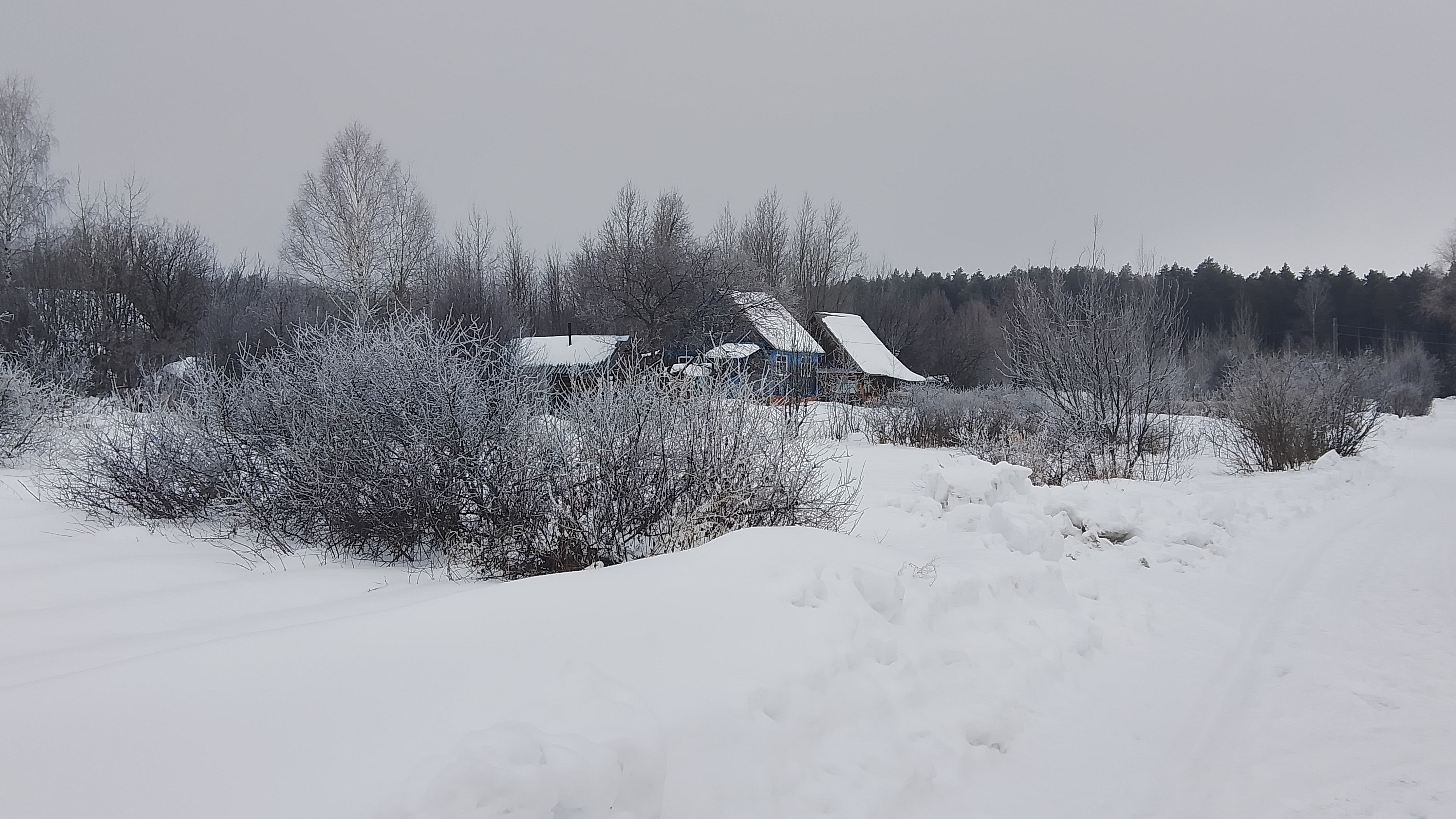 Не был на даче 2 недели. Еду в одиночку. Часть 2. смотреть онлайн