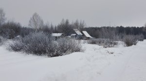 Не был на даче 2 недели. Еду в одиночку. Часть 2.