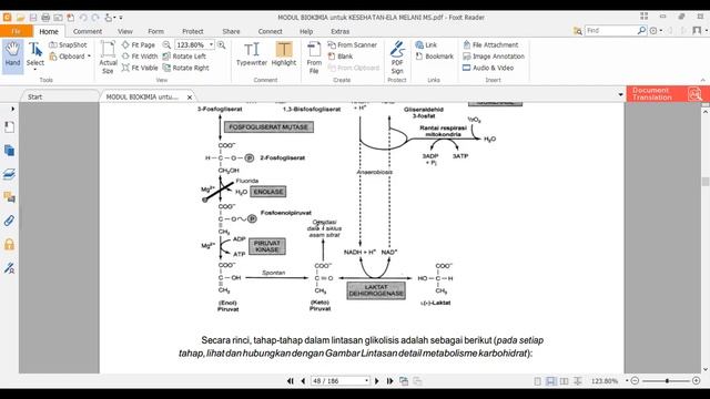 BIOKIMIA-METABOLISME KARBOHIDRAT смотреть онлайн