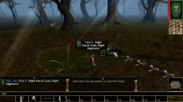 Neverwinter Nights EE Persistent World Test : Arx, Custom Race Selection : Goblin смотреть онлайн