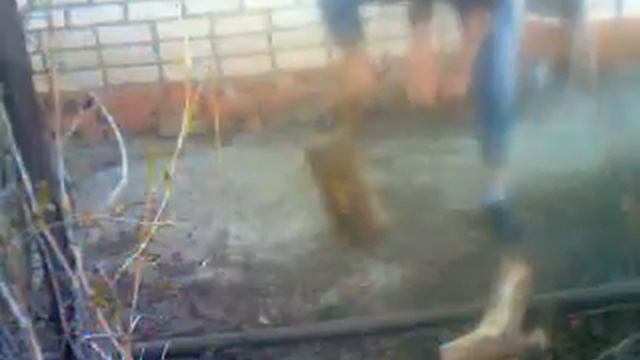 Шашлык очень хочется)))) смотреть онлайн