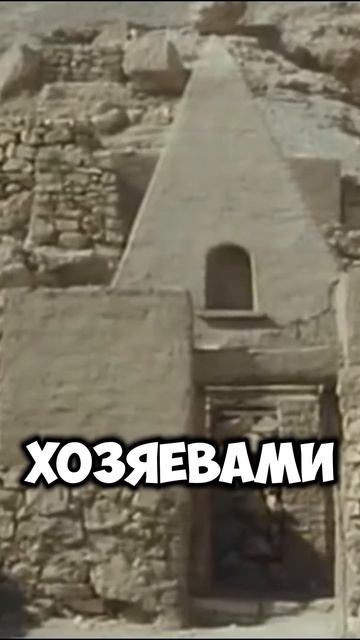 😲 Кошки Древнего Египта #shorts #факты #кошки смотреть онлайн