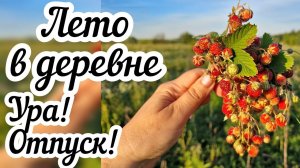 Лето в деревне  Ура! Отпуск!☀️