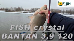 обзор fish crystal  bantan 3.9 120