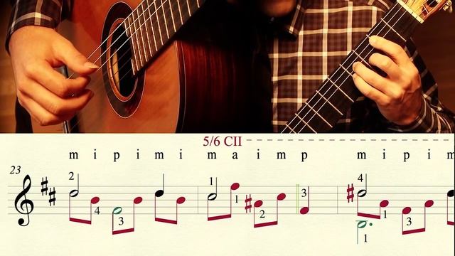 Etude in B mino(n°22 op.35) - Fernando Sor (1778 - 1839) смотреть онлайн