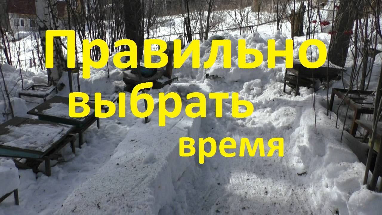 Когда лучше весной выставлять пчел смотреть онлайн
