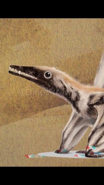 10 Pterosauria dinosaurs Pt.1 #dinosaur смотреть онлайн
