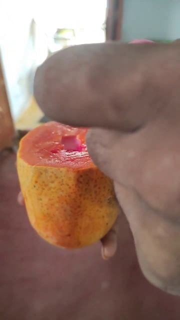 pudhu vidhamana papaya rose milk ice Cream 😋😁 |erode spotout| #ownsummerrecipes #shorts смотреть онлайн