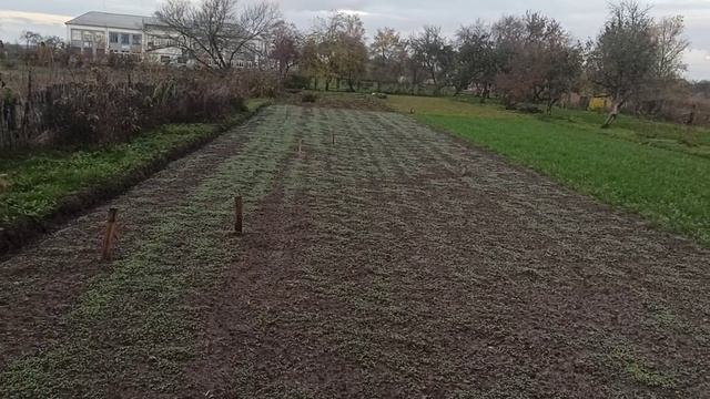 Горчица по чесноку. смотреть онлайн