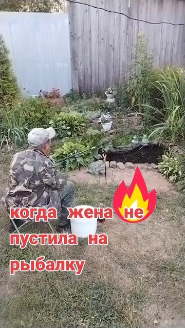 Маленький прудик с карасями. смотреть онлайн