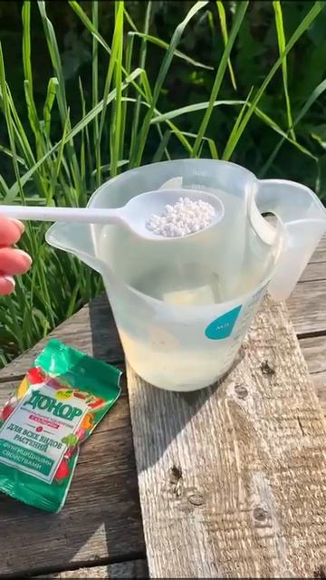 Чем обработать томаты осенью? смотреть онлайн