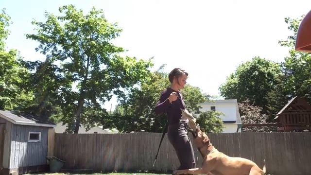 Freya is Flyin’ High смотреть онлайн