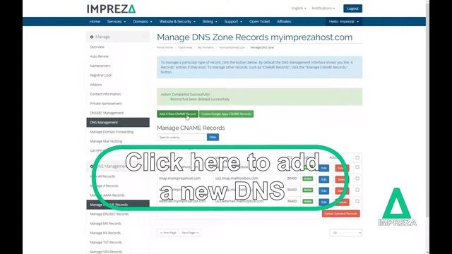 How to manage and add DNS in the Impreza Host panel смотреть онлайн