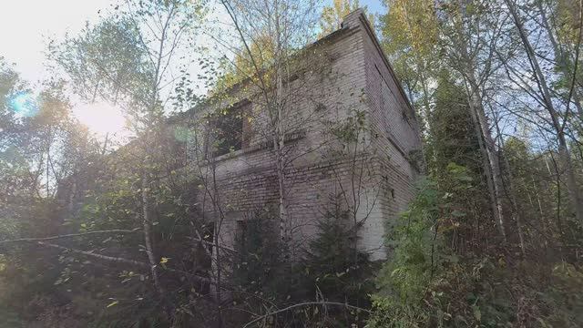 Заброшенный пионерский лагерь "Чайка" (17.09.2024) смотреть онлайн