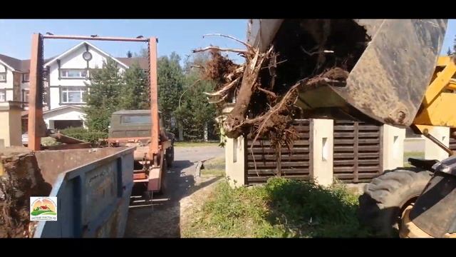 Корчевка пней, погрузка, вывоз, черновая планировка участка 12 соток смотреть онлайн