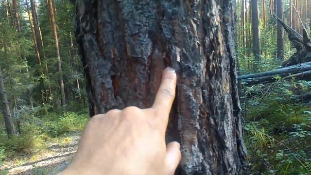 Пробивная способность дозвукового барнаула (сабсоник)