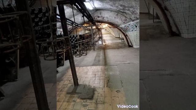 Экскурсия в Абрау Дюрсо смотреть онлайн