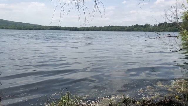 Карпы (Carps) смотреть онлайн