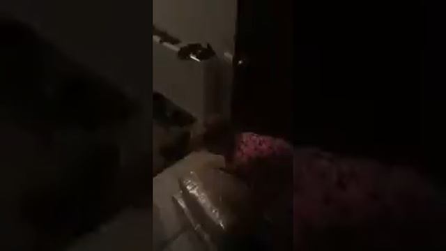 Наташина семья помогает смотреть онлайн