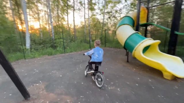 Злые собаки! Принятие важного решения в юном возрасте. #собаки #добро #бытьдобру смотреть онлайн