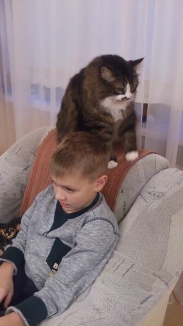 Кот моет хозяина. смотреть онлайн