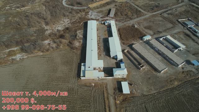 ТАЁР БИЗНЕС! КАТТА ТОВУҚ ФЕРМА СОТИЛАДИ! ШОВОТ смотреть онлайн