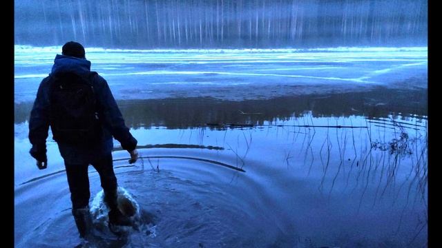 Н Панченко  Блажен, кто мог #философскаялирика #поэзия20века