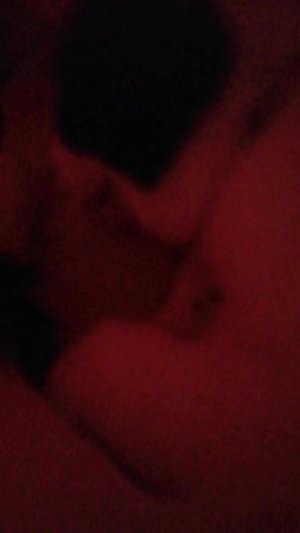 Моя кошка, с м о т р и! /!