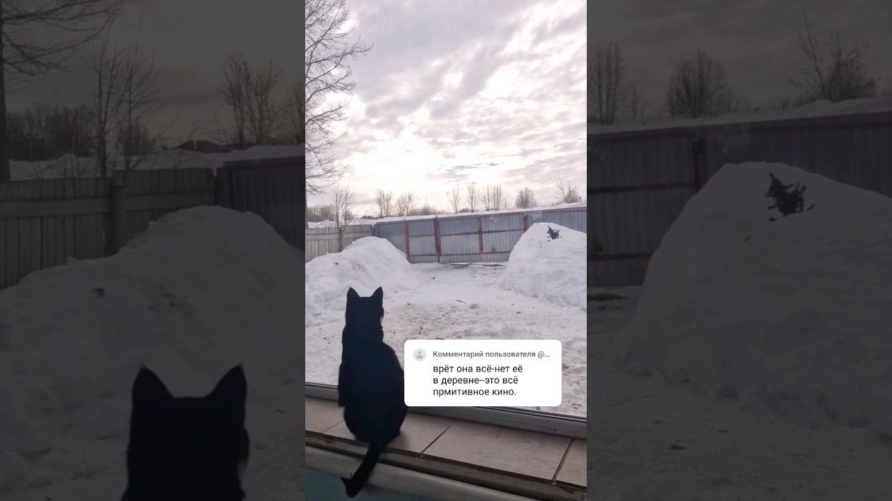 Следствие ведут знатоки. Серия вторая #домиквдеревне #изгородавдеревню #кошки смотреть онлайн