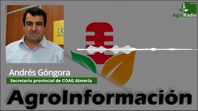 ENTREVISTA || Andrés Góngora, secretario general de COAG смотреть онлайн