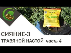 Травяной настой на садовом участке