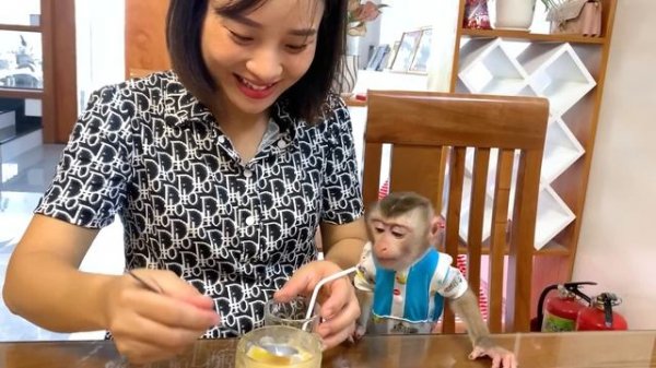 Monkey Puka is very interested in fresh summer food