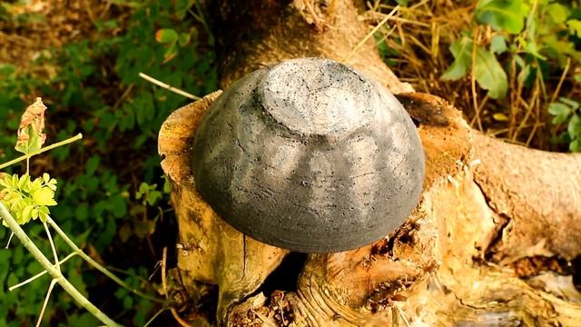 большая чёрная миска смотреть онлайн