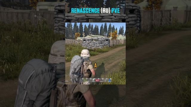 Коллиматор прикольный. Renascence [RU] PVE. #СталкерБаннерщик #Bannerschik #dayz #dayzpve #shorts смотреть онлайн
