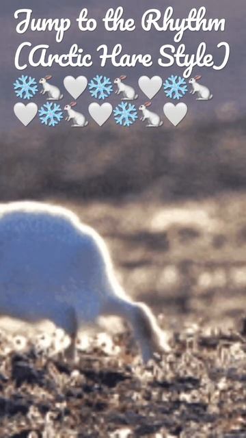 Jump to the Rhythm (Arctic Hare Style) ❄️🐇🤍❄️🐇🤍❄️🐇🤍❄️🐇🤍❄️🐇🤍 смотреть онлайн