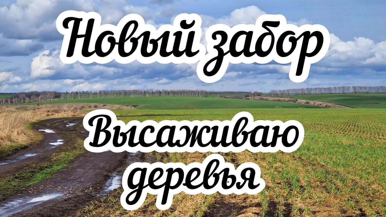 Новый забор Высаживаю деревья смотреть онлайн